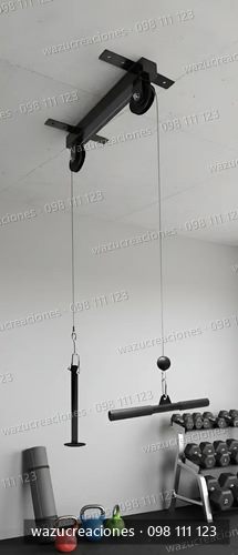 Polea Alta Espalda Roldana Ejercicio Gimnasio Practica Bicep